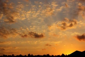 By Marcus Quigmire from Florida, USA (Perfection Uploaded by Princess Mérida) [CC-BY-SA-2.0 (http://creativecommons.org/licenses/by-sa/2.0)], via Wikimedia Commons