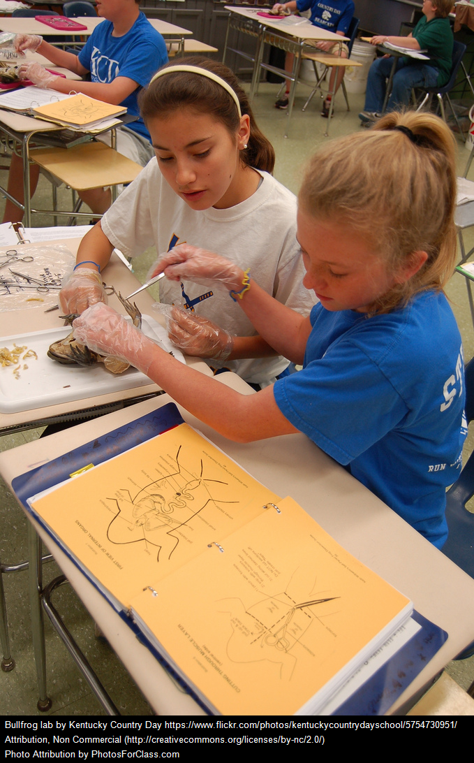 How should we teach Inquiry-based Science?