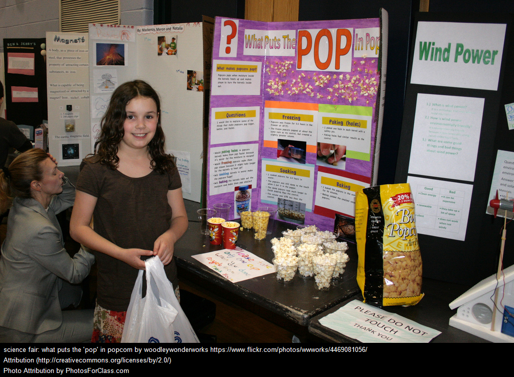 Science Fairs: Yea or Nay?