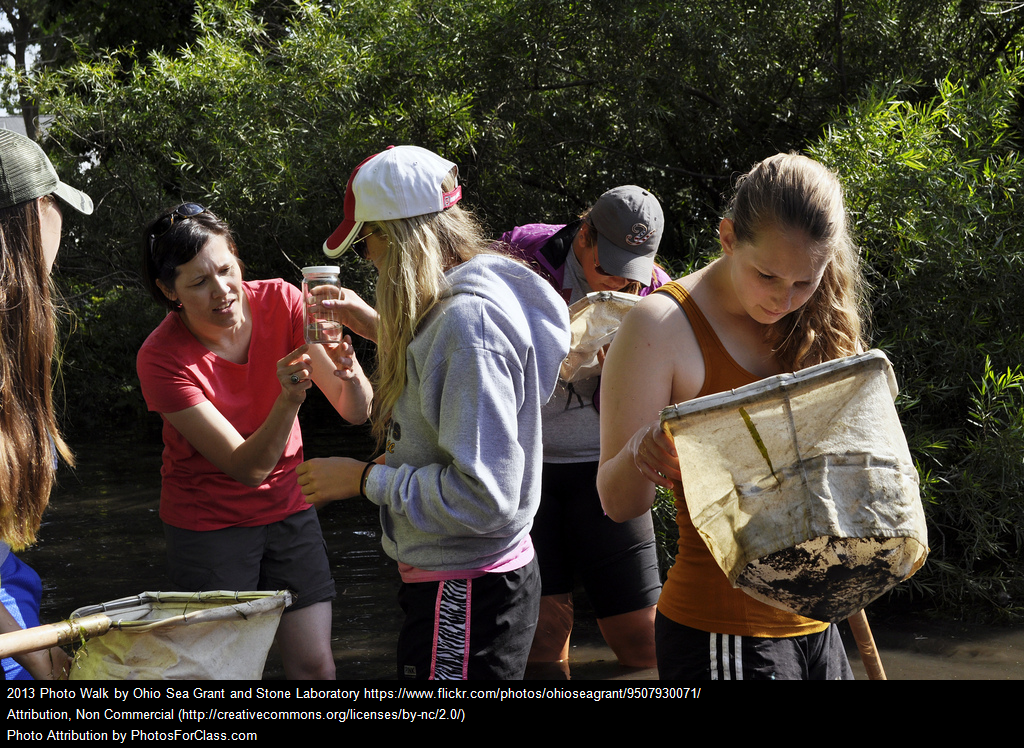 How Should we Assess Students in Inquiry-based Science?