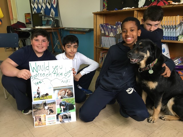 Animals in School? Fostering empathy through civic engagement
