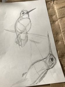Image of bird sketch to show art process from sketch to cardboard version