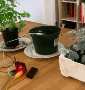 Plant Monitor with Micro-bit