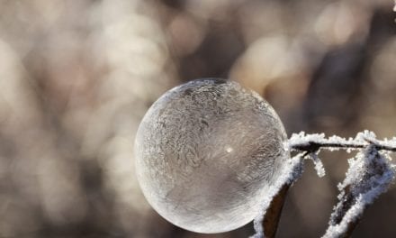 Outdoor Learning in Winter