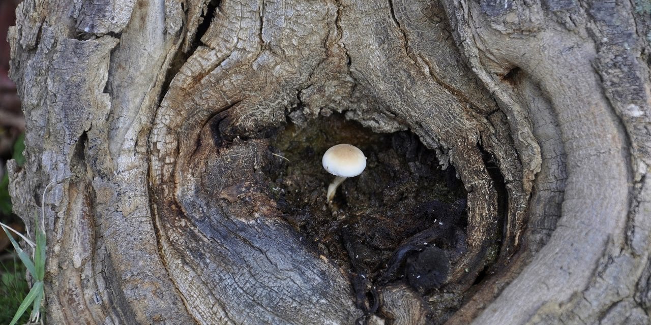 Resilience… We got this!