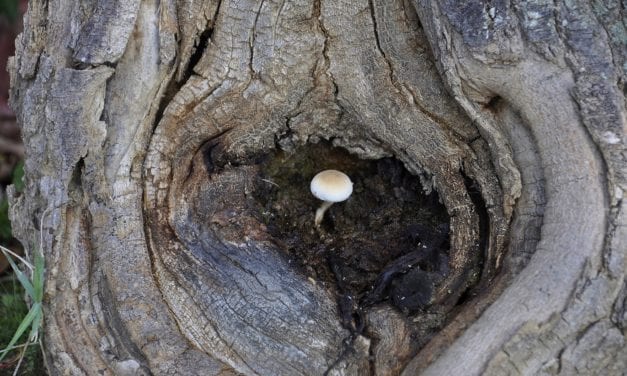 Resilience… We got this!