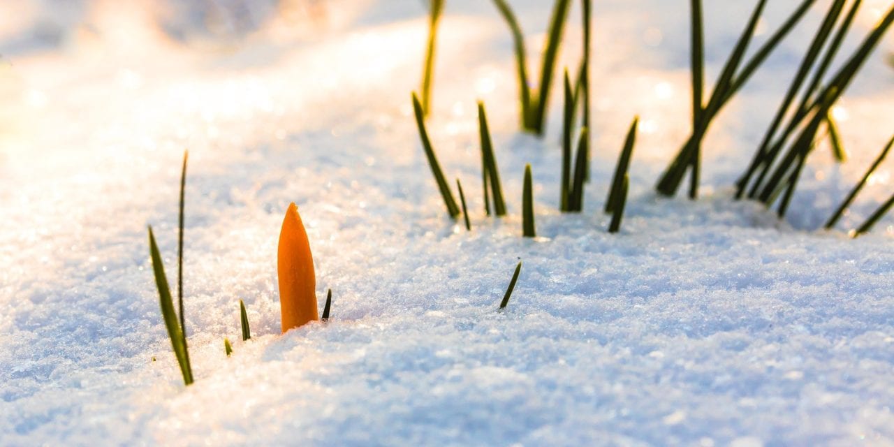 Ah… la semaine de relâche!