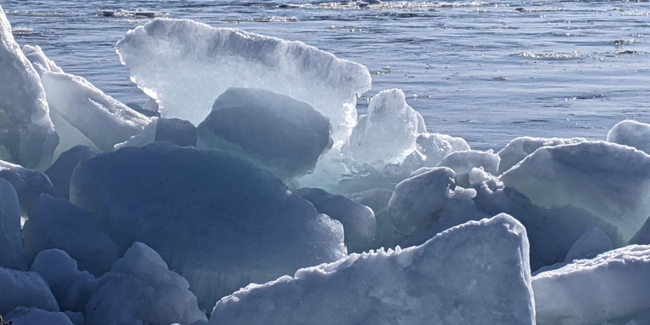 Icebreakers for the Online Classroom