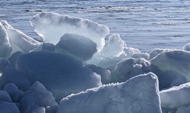 Icebreakers for the Online Classroom