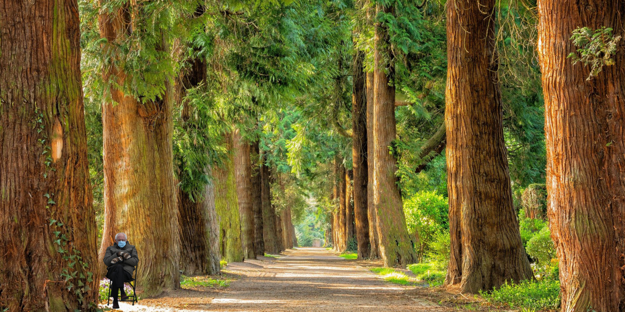 Heads, Hearts & Hands: Together for Earth Day