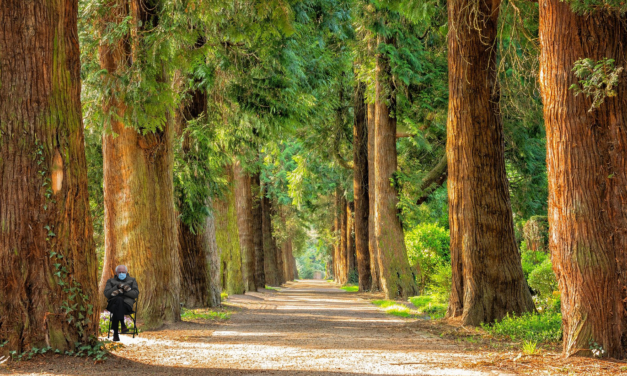 Heads, Hearts & Hands: Together for Earth Day