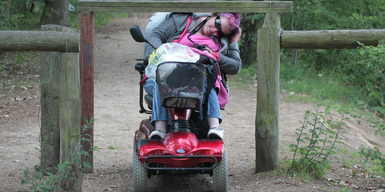 Application of Digital Accessibility Standards for Distance Learning