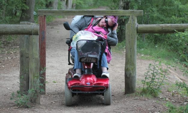 Application of Digital Accessibility Standards for Distance Learning