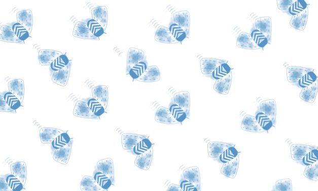 Behind Every Programmer Lies a Debugger