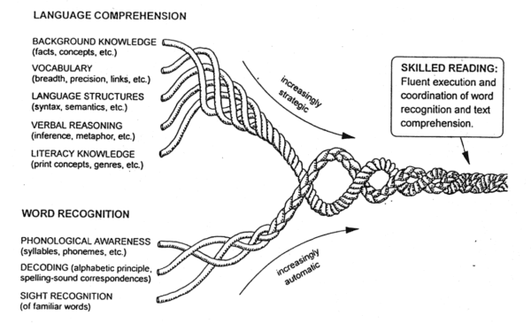 The Reading Rope
