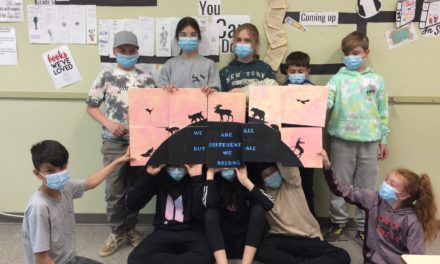 Equity & Diversity in English Language Schools: Lessons Learned from the ‘I Belong’ Project