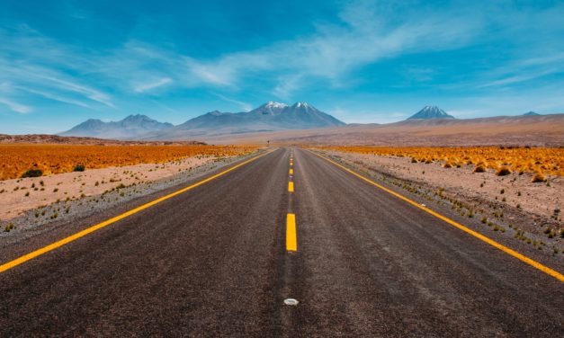 Looking Forward to Looking Back