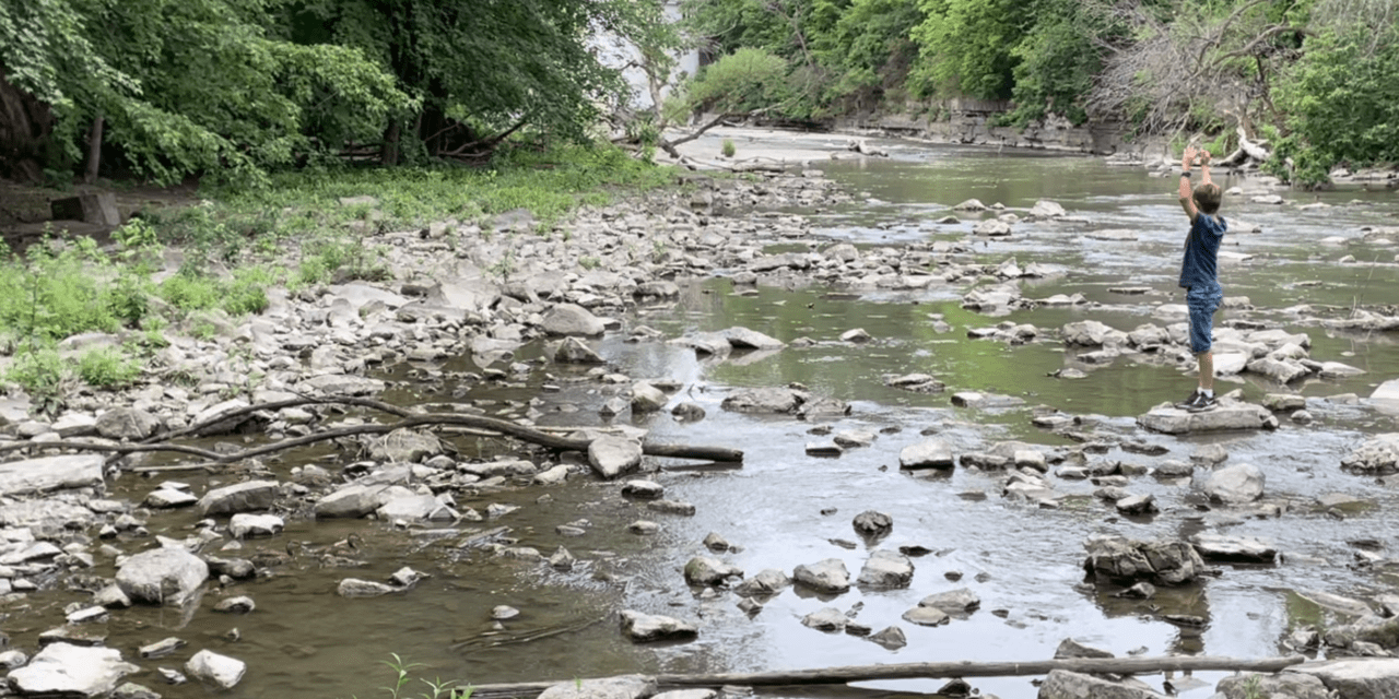 Questions in the History Class – Part 2