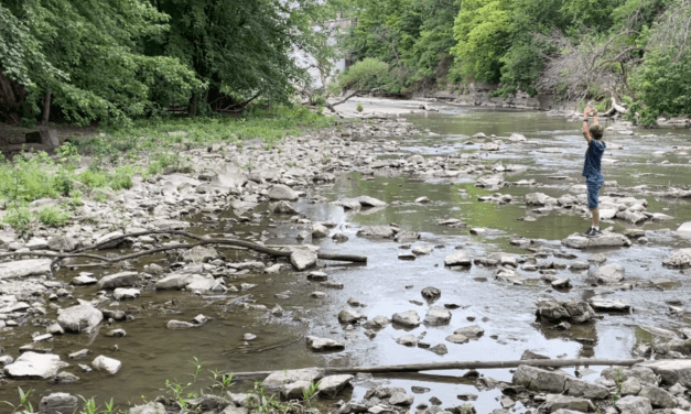 Questions in the History Class – Part 2