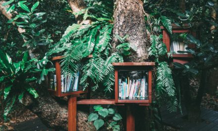 Stepping Out of the Social Science Textbook