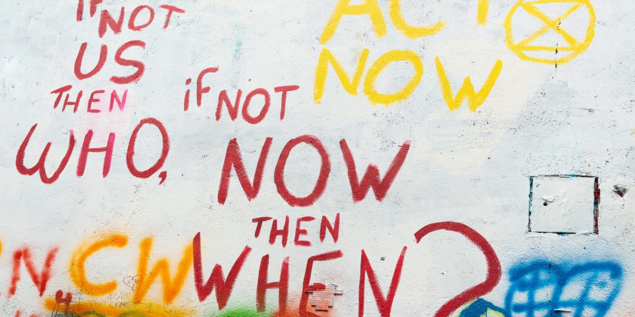 Budding Changemakers: Sow the Seeds of Change