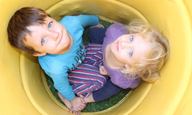 At Play with Ana Ardelean: The Fundamentals of Early Childhood Development