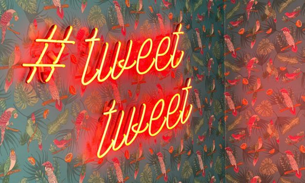 The Demise of Twitter: We Can Handle This!