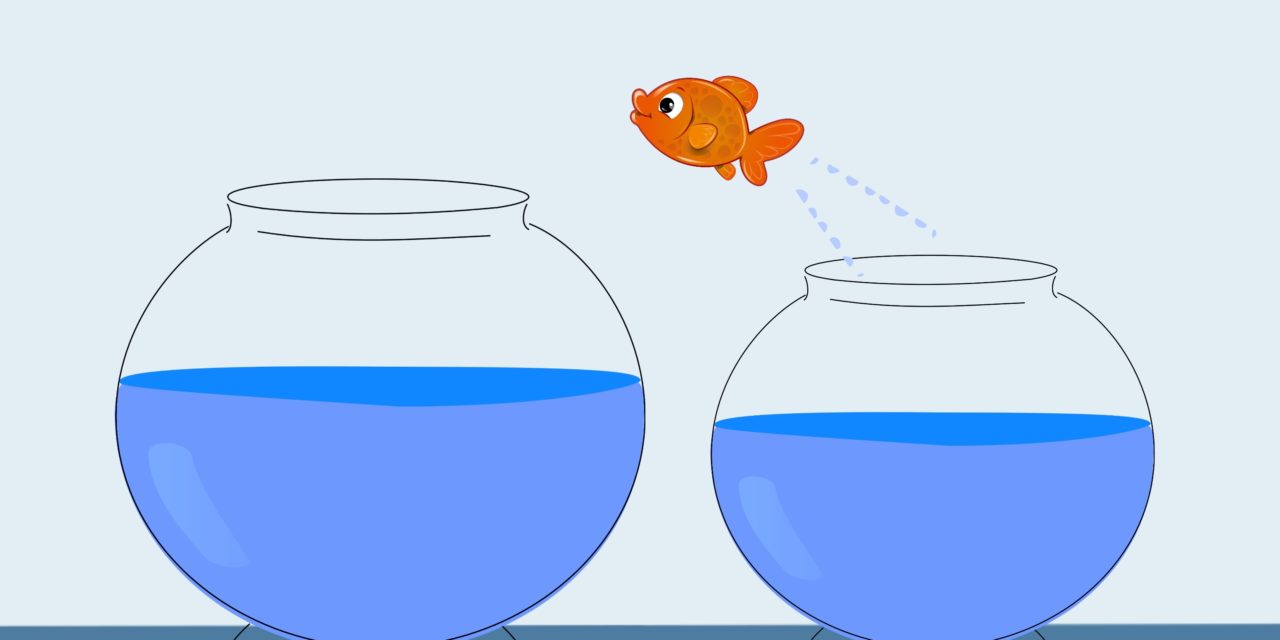 From Teacher to Tutor