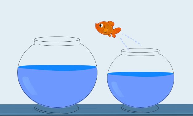 From Teacher to Tutor