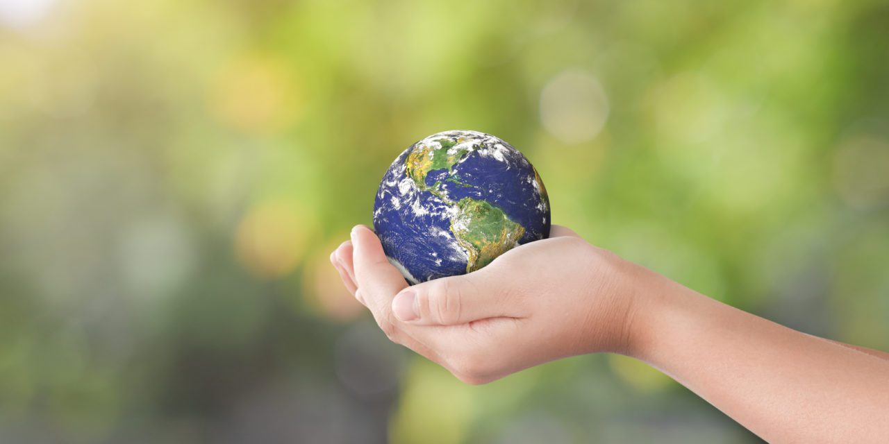 Students Brainstorm a More Sustainable World