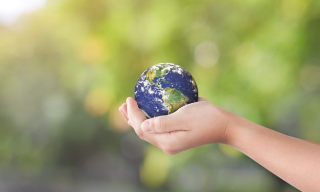 Students Brainstorm a More Sustainable World