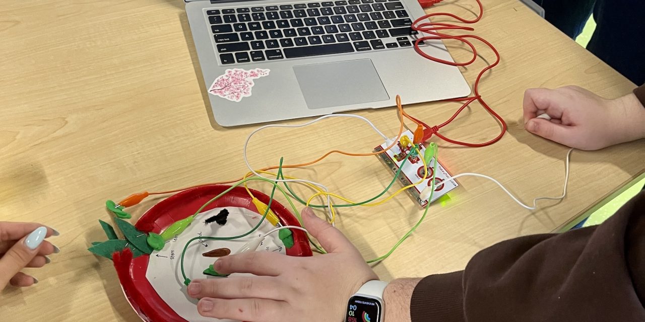 Pre-Service Science Teachers Play with STEAM