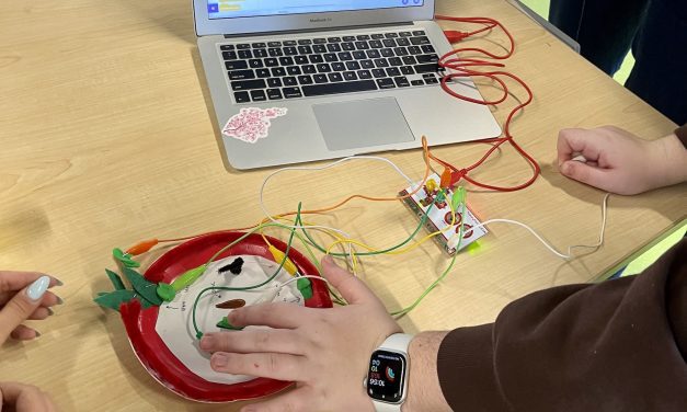 Pre-Service Science Teachers Play with STEAM