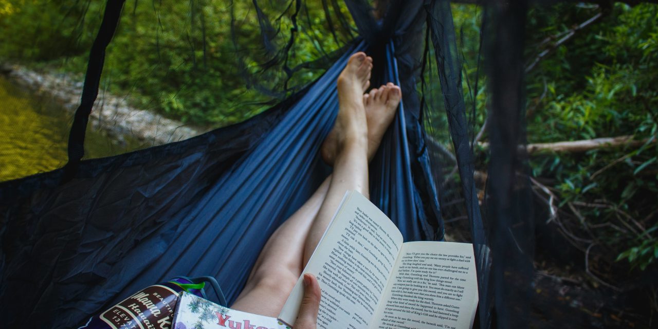 Summertime Reads and more from the LEARN Team Vol. IX