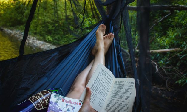 Summertime Reads and more from the LEARN Team Vol. IX